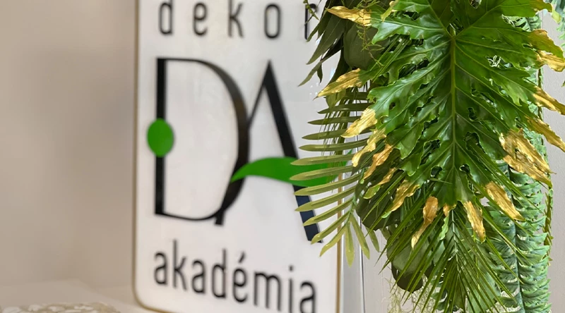 5 éves a Dekor Akadémia
