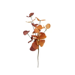 Ág leveles 31 cm