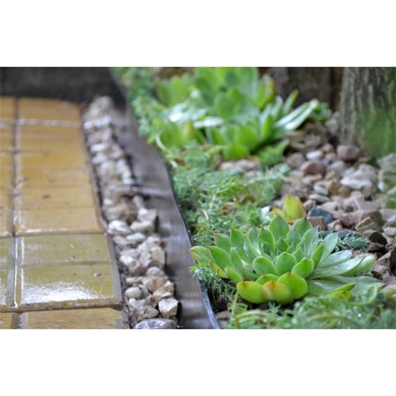 Ágyásszegély 13 cm x 5 m