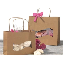 Ajándéktasak 20x16x7,5 cm S/12