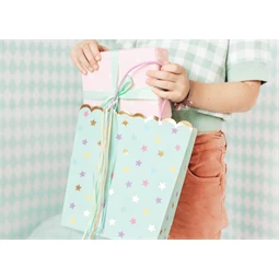 Ajándéktasakok csillagok, mix, 22x23x8 cm