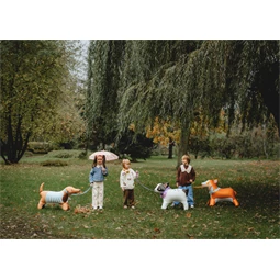 Álló fólia lufi corgi, 88x70 cm, mix