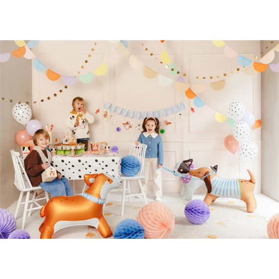 Álló fólia lufi tacskó 89x58 cm mix