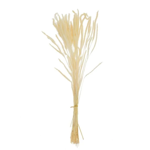 Árpa csokor szárított 60 cm