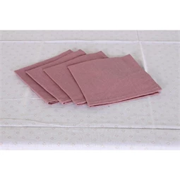 Asztalterítő szett 150x250x0,5 cm 2 féle S/9