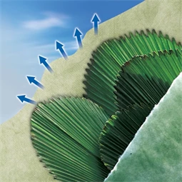 Átteleltető növénytakaró szövet 10x1 m