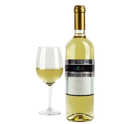 Borosüveg hőmérő 6,35x4,06x6,6 cm