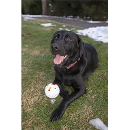 Kutyajáték, csirkelabda 8,8 cm