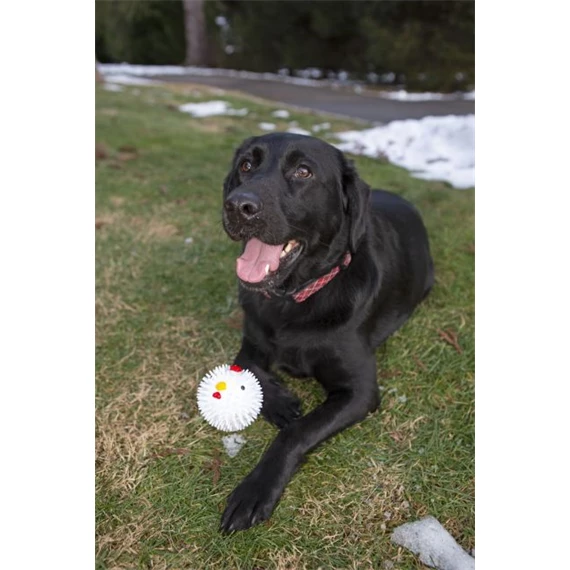 Kutyajáték, csirkelabda 8,8 cm