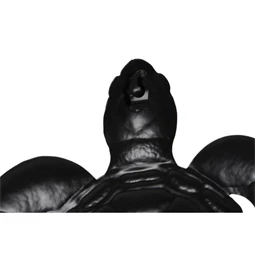 Dekoráció falra, teknős 33x1x30,5 cm 2 féle