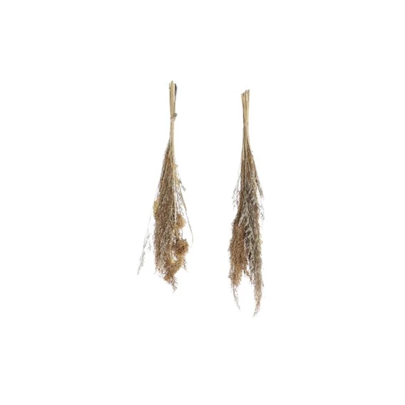 Dekoráció szárazvirág 13x6x65 cm 2 féle