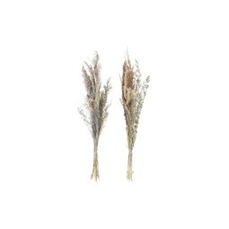 Dekoráció szárazvirág 18x8x63 cm 2 féle