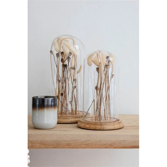 Dekoráció szárazvirág kalász 18x18x32 cm