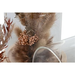 Dekoráció szárazvirág 12x12x17 cm 2 féle