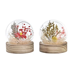 Dekoráció szárazvirág 11x11x13 cm 2 féle