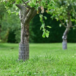 Fatörzsvédő 36x18,5 cm