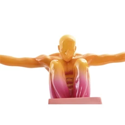 Figura atléta 32x11x23 cm