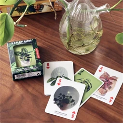 Franciakártya, 3D szobanövények 6,5x9x2,3 cm