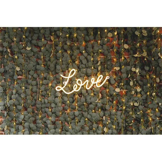 Girland eukaliptusz LED 2 m