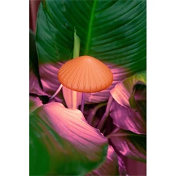 Gomba formájú palántanövesztő lámpa LED-es 72 cm