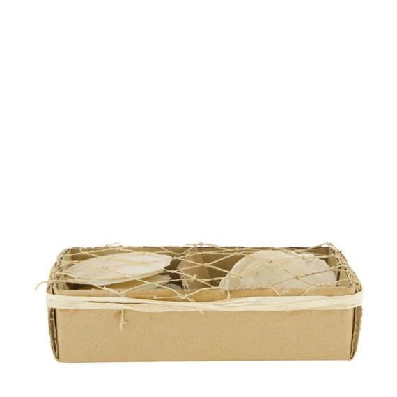 Kagyló dobozban 8x18x4,5 cm