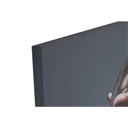 Kép állatos 80x3x120 cm 2 féle