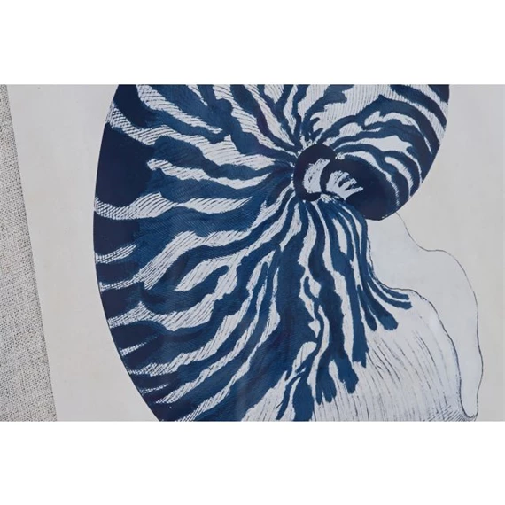 Kép csigák 50x2x60 cm 6 féle