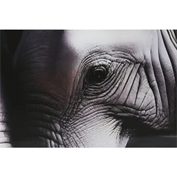 Kép edzett üveg, elefántok 150x0,4x100 cm