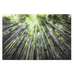 Kép edzett üveg, erdő 150x0,4x100 cm