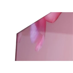 Kép edzett üveg, nő 150x0,4x100 cm