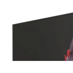 Kép gésa 100x0,04x150 cm