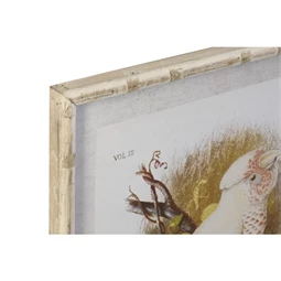 Kép kakadu 50x2,8x65 cm 4 féle