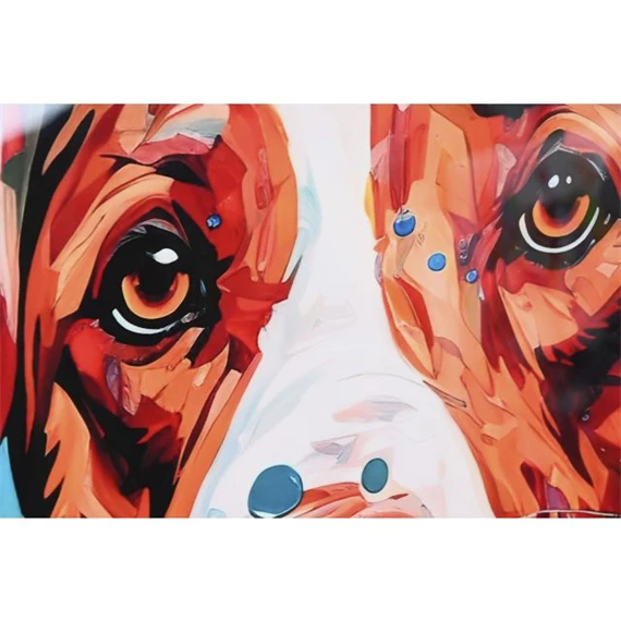 Kép keretes, kutya, macska 80x3,5x80 cm 2 féle