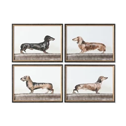Kép keretes, kutya 60x2,5x45 cm 4 féle
