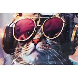 Kép keretes, macska 50x3,5x50 cm 2 féle