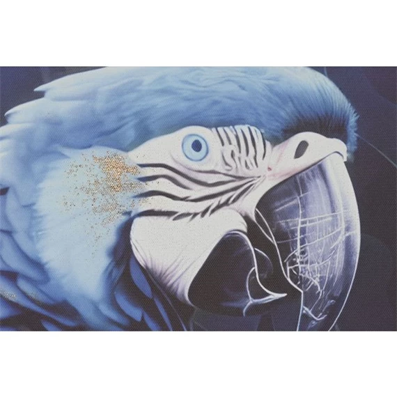 Kép keretes, papagájos 83x4x123 cm 2 féle