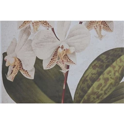 Kép Orchidea, keretes 50x2,5x70 cm 2 féle