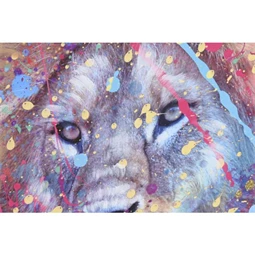 Kép oroszlán 80x2,5x80 cm 4 féle