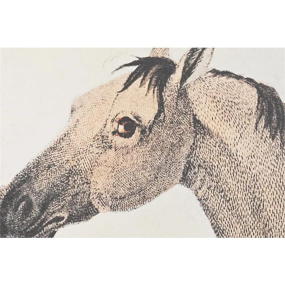 Kép szett, ló, keretes 120x4x60 cm S/3