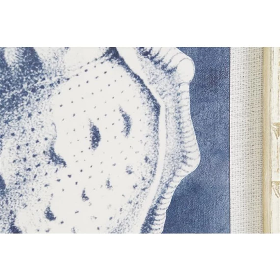 Kép tengeri kagyló 50x2,8x65 cm 4 féle