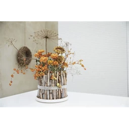 Könyv - Tiszta stílus