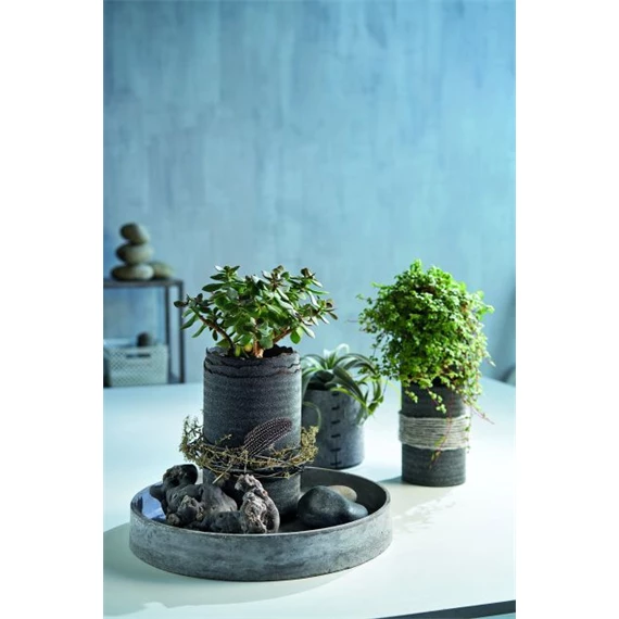 Könyv - Tiszta stílus