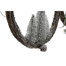 Koszorú fenyő 46x7x46 cm 2 féle