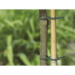 Kötöző fákhoz és cserjékhez 17 cm S/40