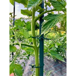 Kötöző fákhoz és cserjékhez 17 cm S/40