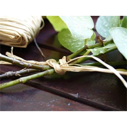 Kötöző raffia 1,3 m