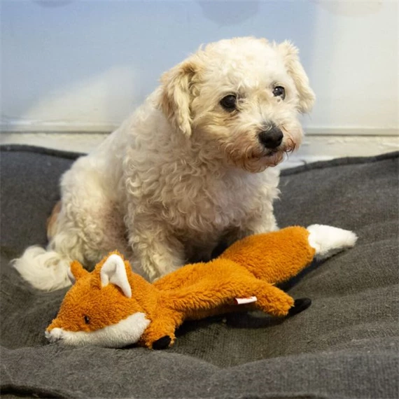 Kutyajáték, repülő plüss róka