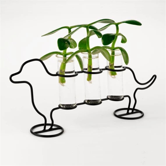 Kutyás váza palántákhoz