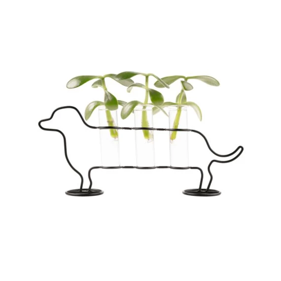 Kutyás váza palántákhoz