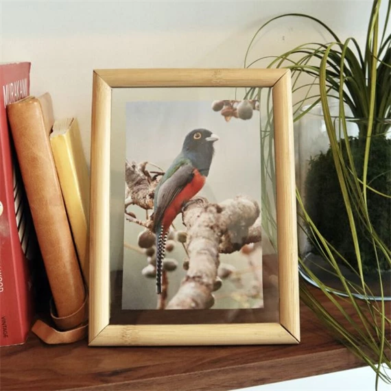 Lebegő képkeret, nagy 20x15x1,5 cm